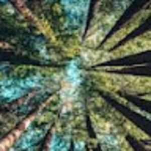 Meet your Posher, J.